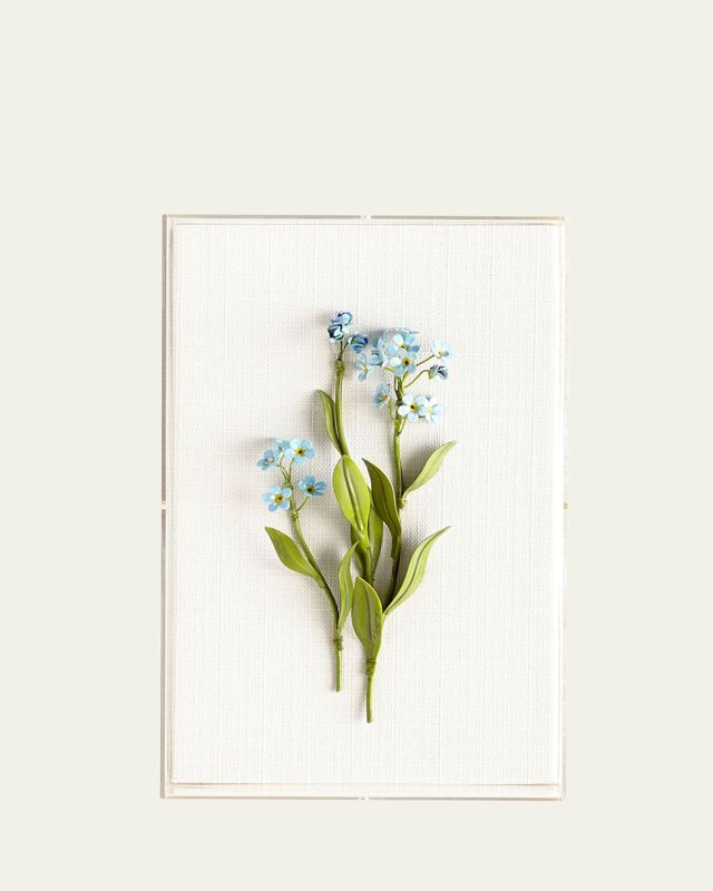 Original Painted Forget-Me-Not Study